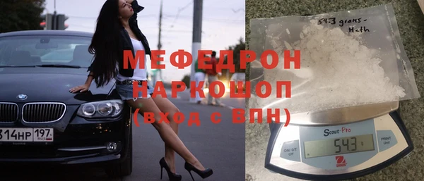 индика Арсеньев