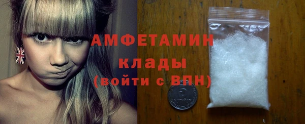 индика Арсеньев