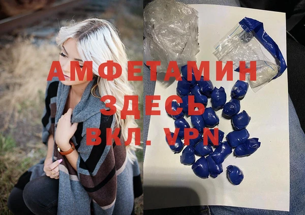 индика Арсеньев