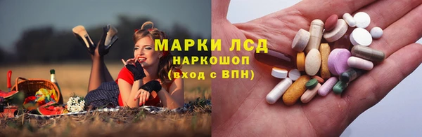 гашик Аркадак