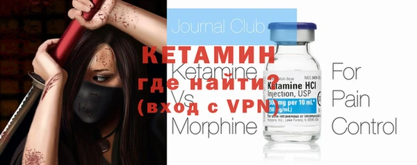 индика Арсеньев