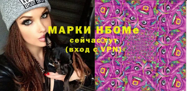 индика Арсеньев
