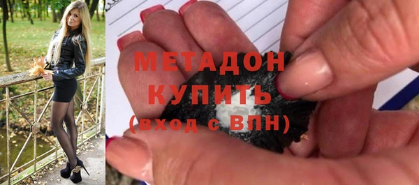 индика Арсеньев