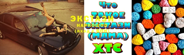 индика Арсеньев