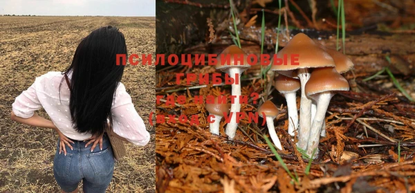индика Арсеньев